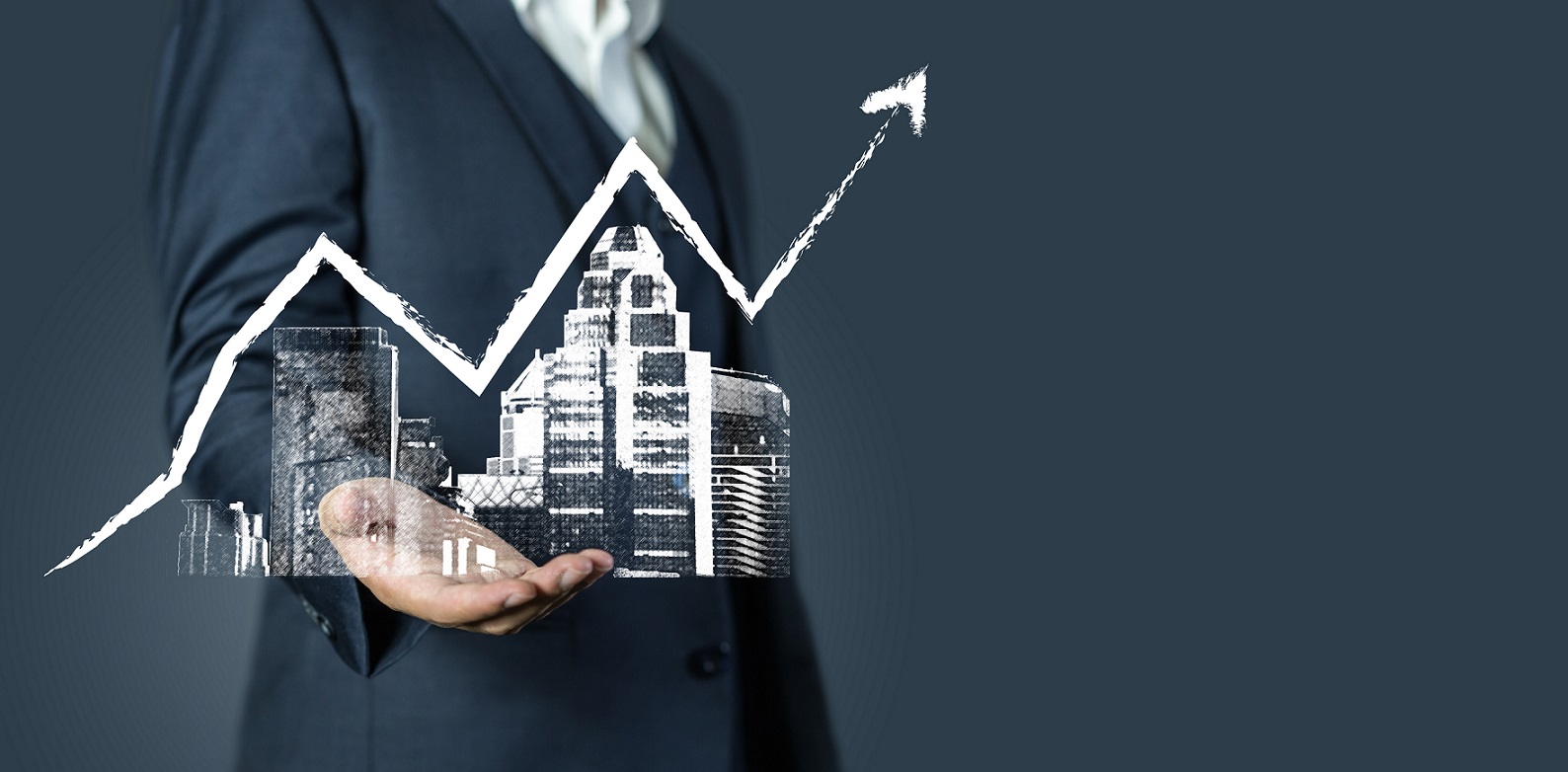 Profitable real estate investing bseindia ipo status